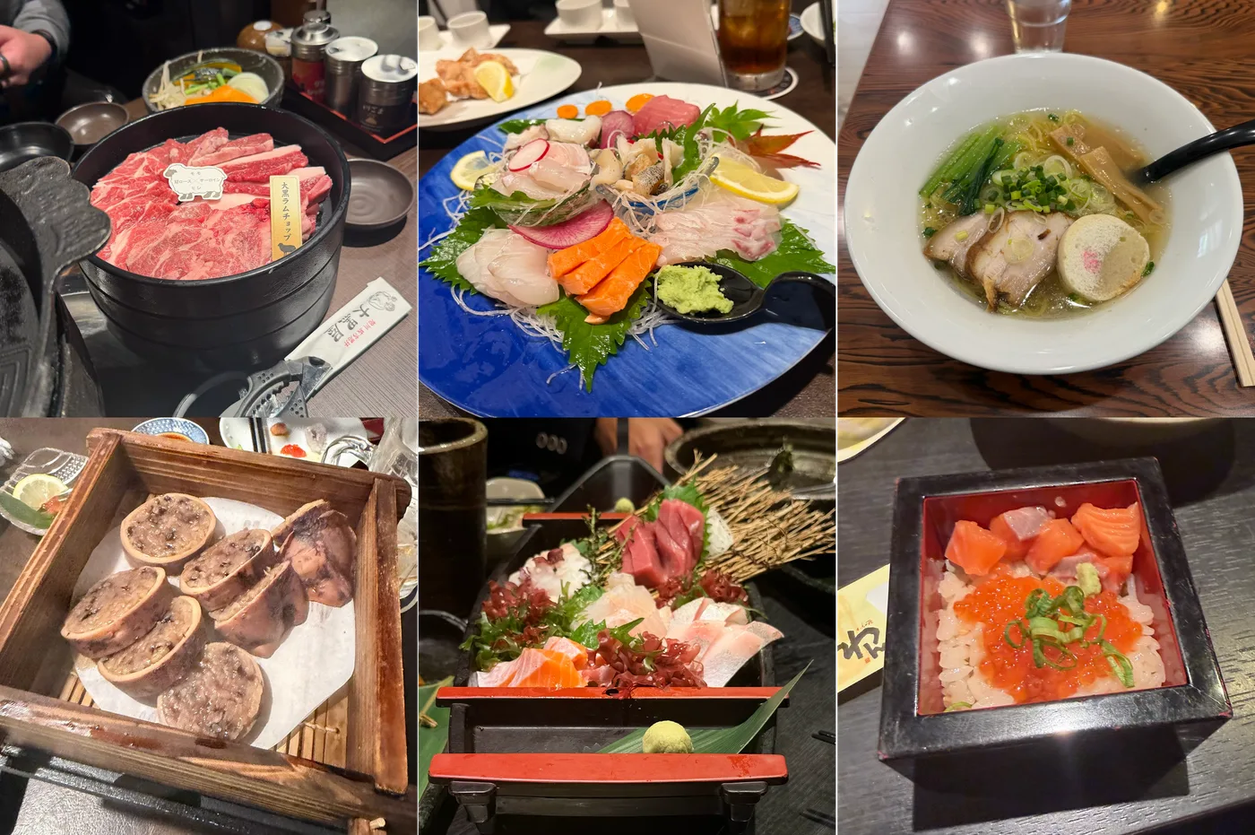A collage of dishes from the trip: a Wagyu and lamb hot pot, a sashimi and oyster platter, miso ramen, grilled scallops, an assorted sashimi boat, and a chirashi bowl topped with salmon, tuna and ikura.